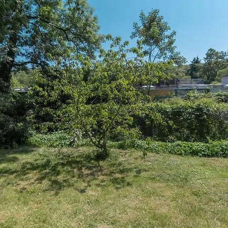 Cozy Nest By The Zoo * Mulhouse